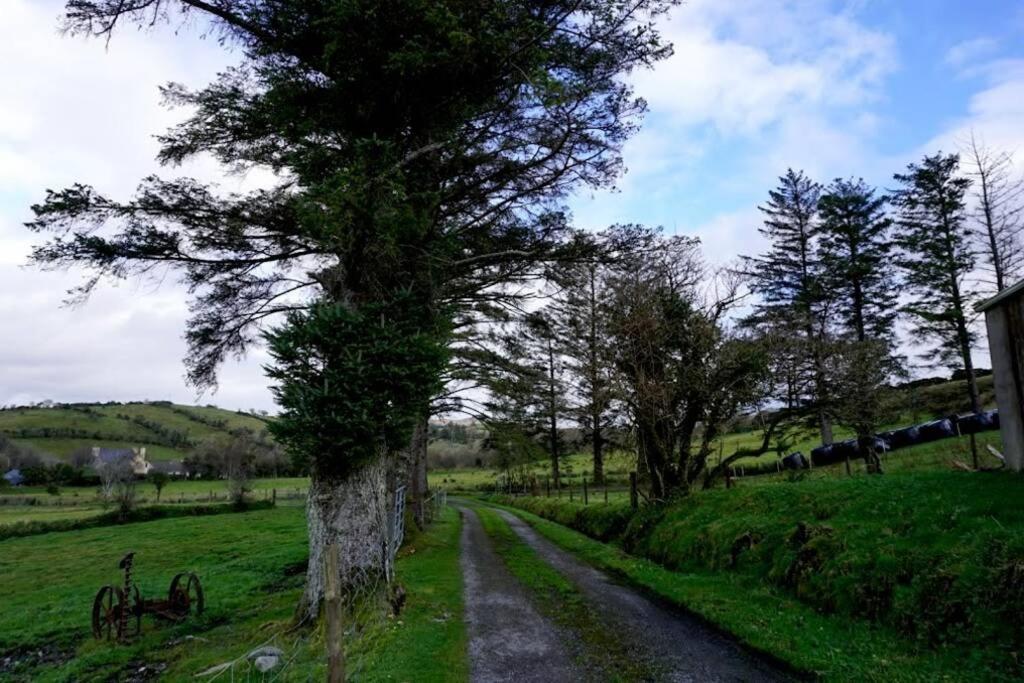 Meenadreen Cottage Donegal Town Eksteriør bilde